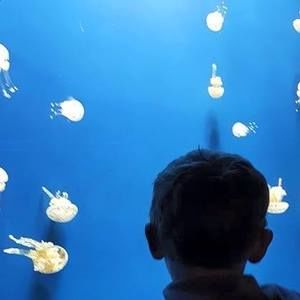 Meet your Posher, Tom